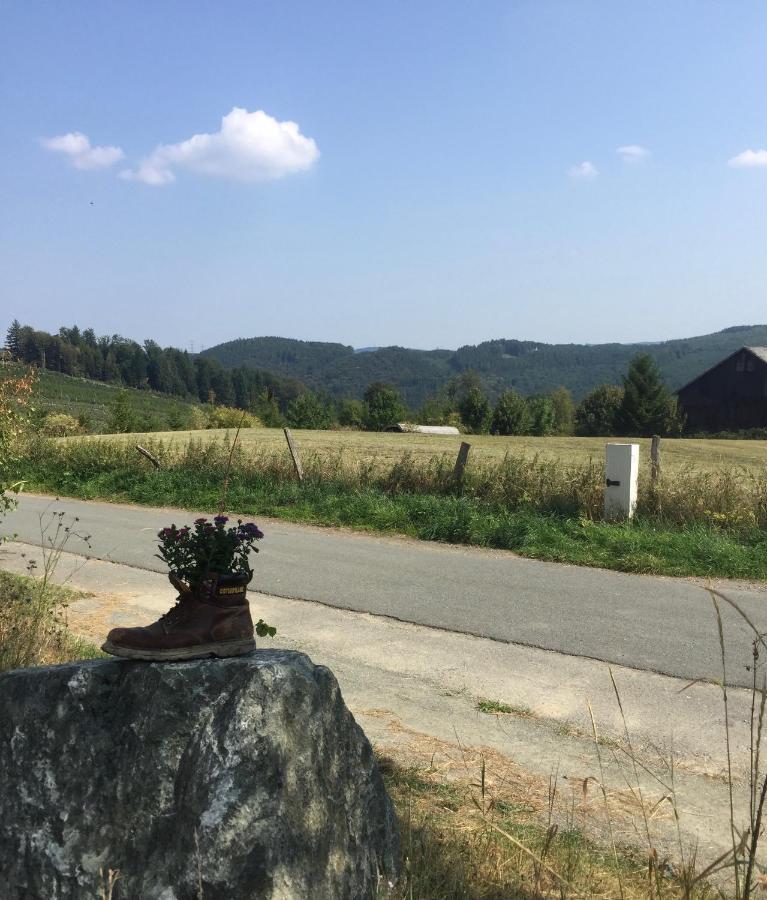 Steigerhaus Sauerland Διαμέρισμα Bestwig Εξωτερικό φωτογραφία